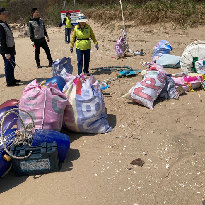 실미해변 정화 사진