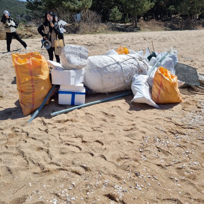 실미해변 정화 사진
