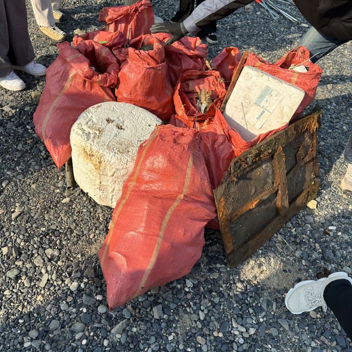 주전몽돌해변 정화 사진