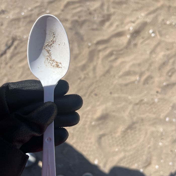 실미해변 정화 사진
