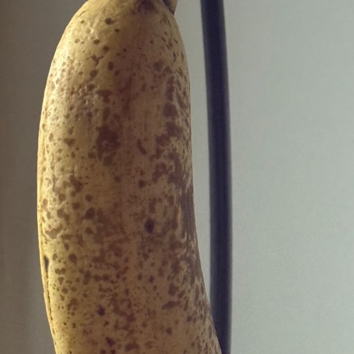  정화 사진
