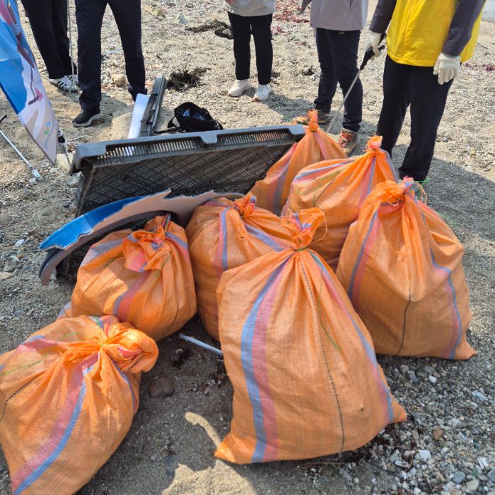 솔개공원해변 정화 사진
