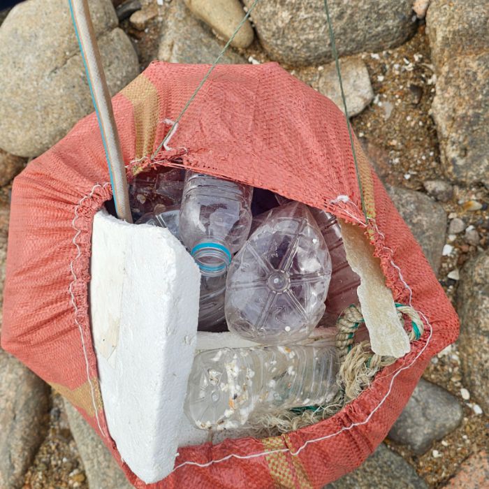 왕산해수욕장 정화 사진
