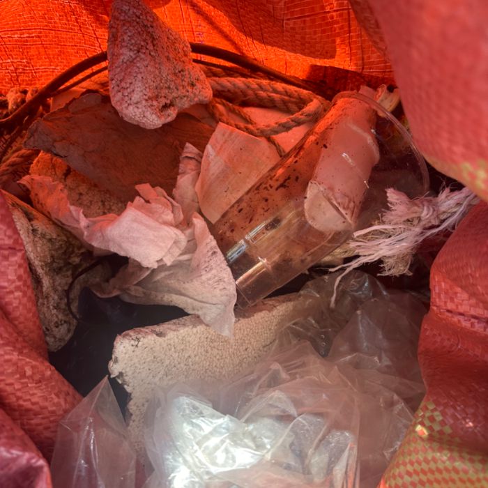 쌍봉동해안 정화 사진
