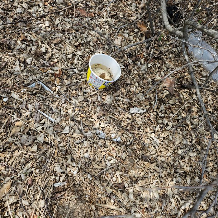 실미해변 정화 사진 3