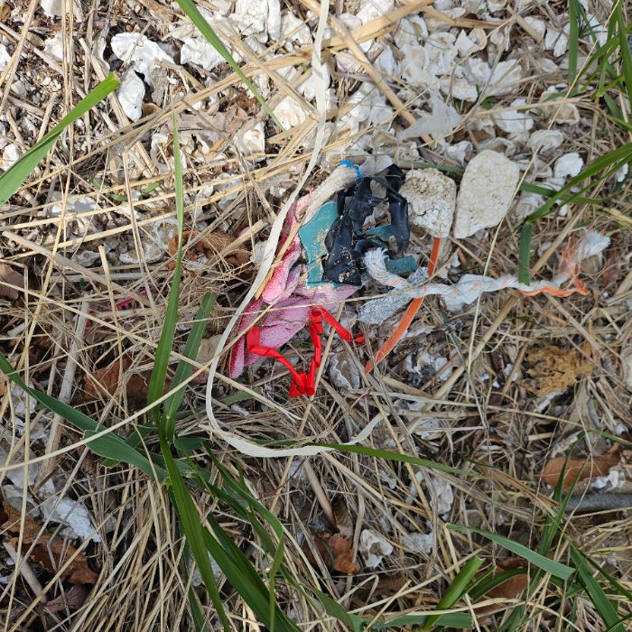 실미해변 정화 사진 9