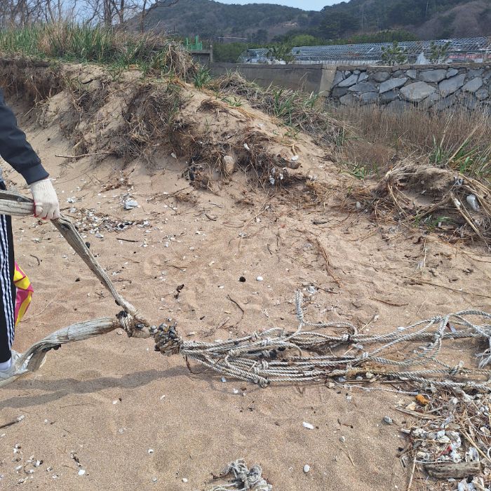 실미해변 정화 사진 4