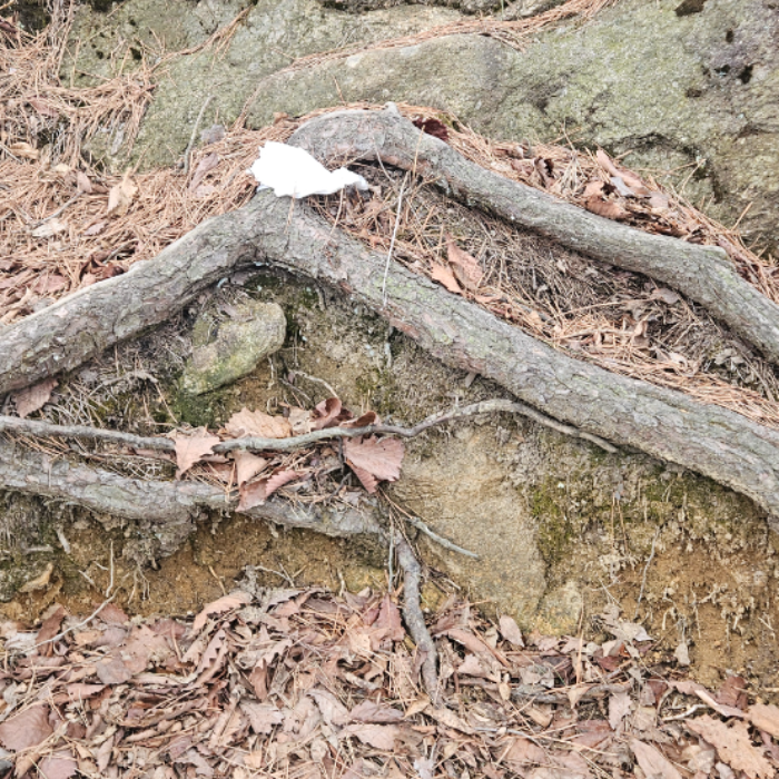 괴산군.동네.쓰레기.플로깅