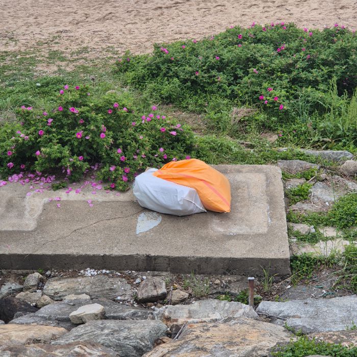 오이도해변 정화 사진