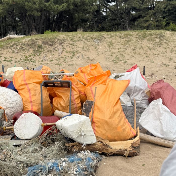 용유해변 정화 사진