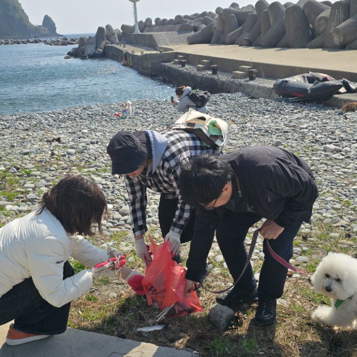  정화 사진 5