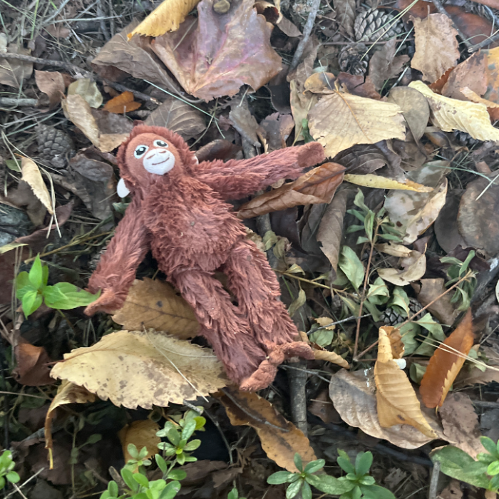  서울강남구.동네.쓰레기.플로깅