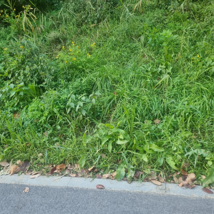  서울강남구.동네.쓰레기.플로깅