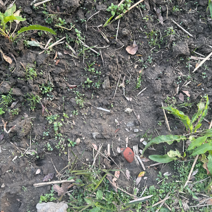  서울강남구.동네.쓰레기.플로깅