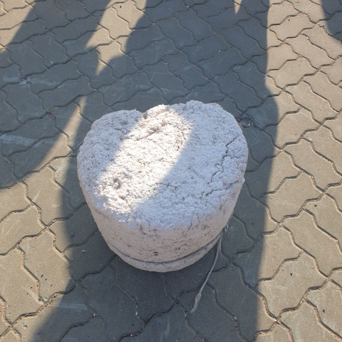 매바위공원해변 정화 사진