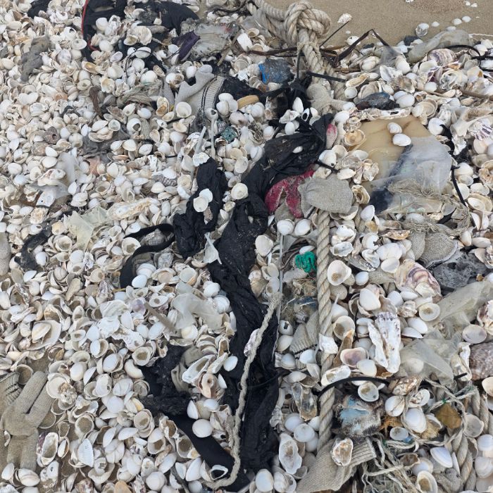 매바위공원해변 정화 사진