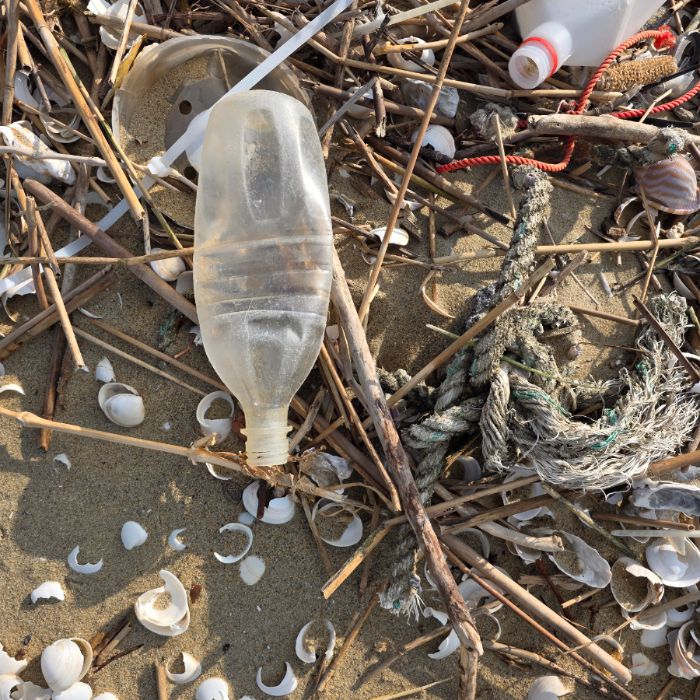 매바위공원해변 정화 사진 4