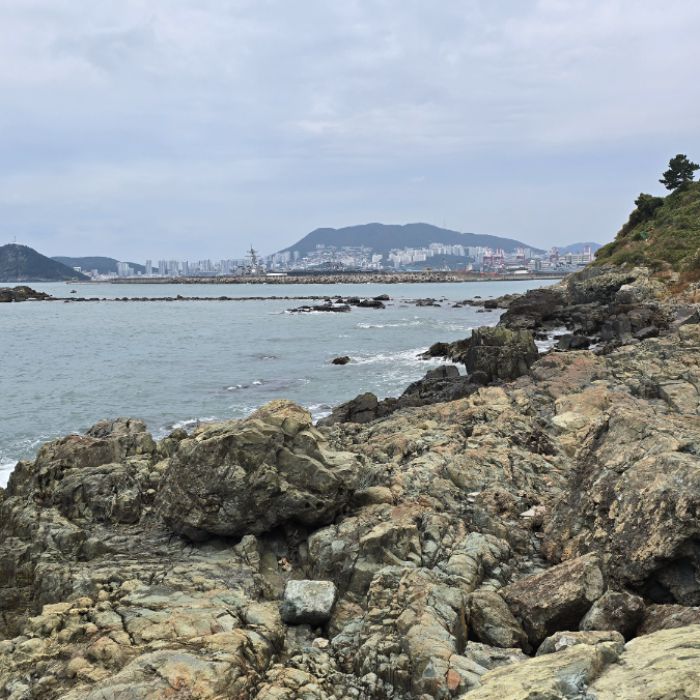 승두말해변 정화 사진 2