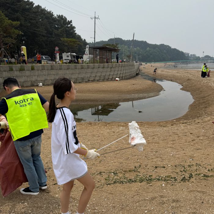 궁평리해변 정화 사진