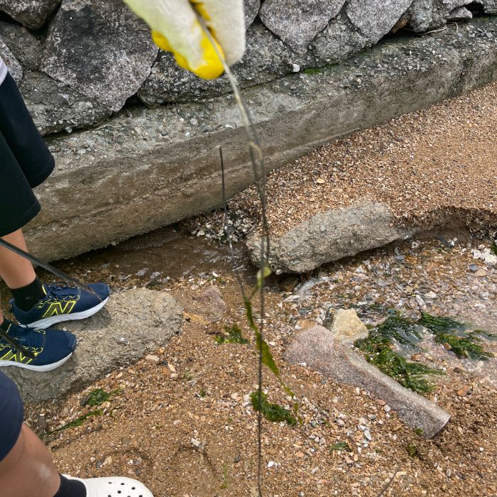 궁평리해변 정화 사진 5
