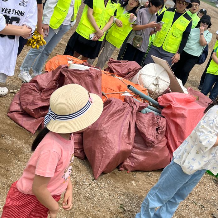 궁평리해변 정화 사진