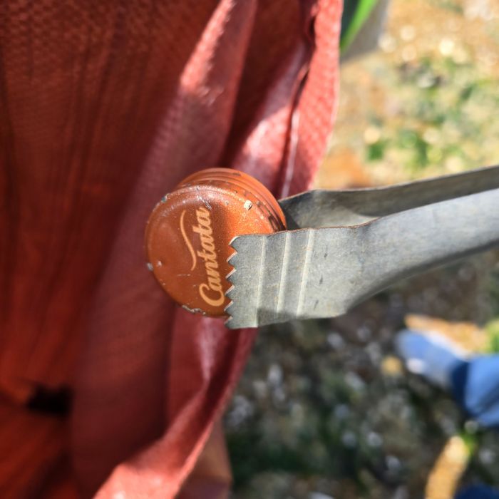 궁평리해변 정화 사진
