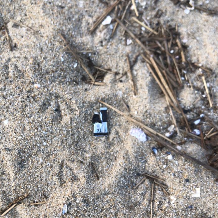 남항진해변 정화 사진
