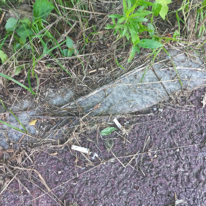  이천시.동네.쓰레기.플로깅