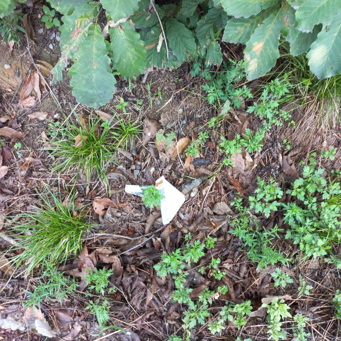  이천시.동네.쓰레기.플로깅