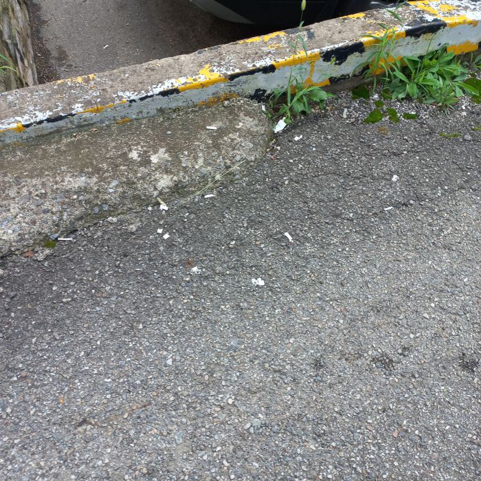  이천시.동네.쓰레기.플로깅