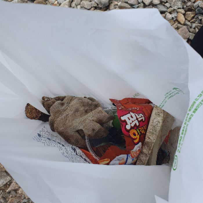 거잠포해변 정화 사진