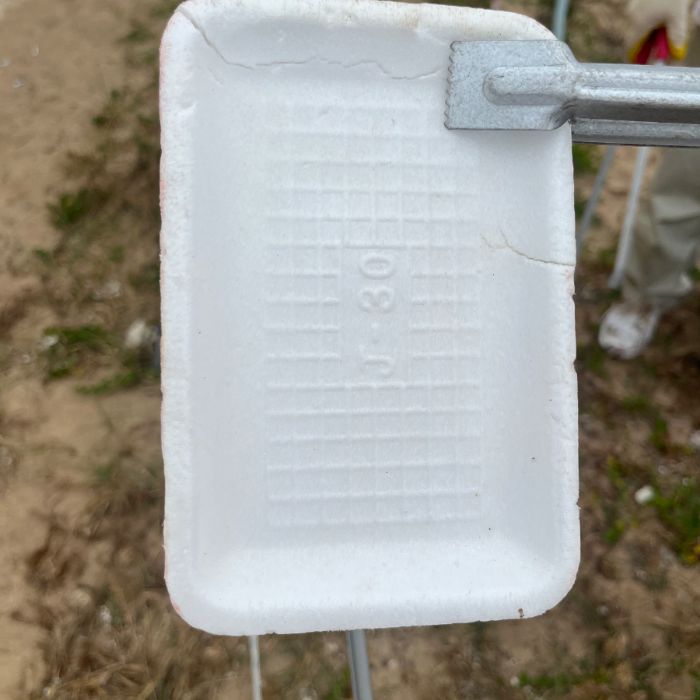 왕산해수욕장 정화 사진 14