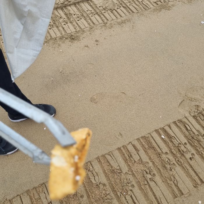 왕산해수욕장 정화 사진 6