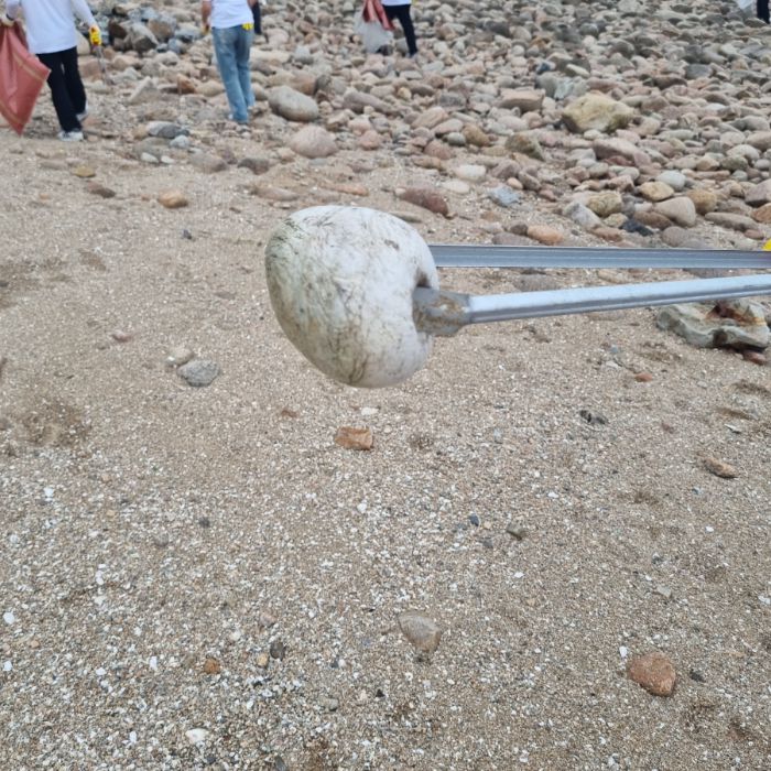 왕산해수욕장 정화 사진 11