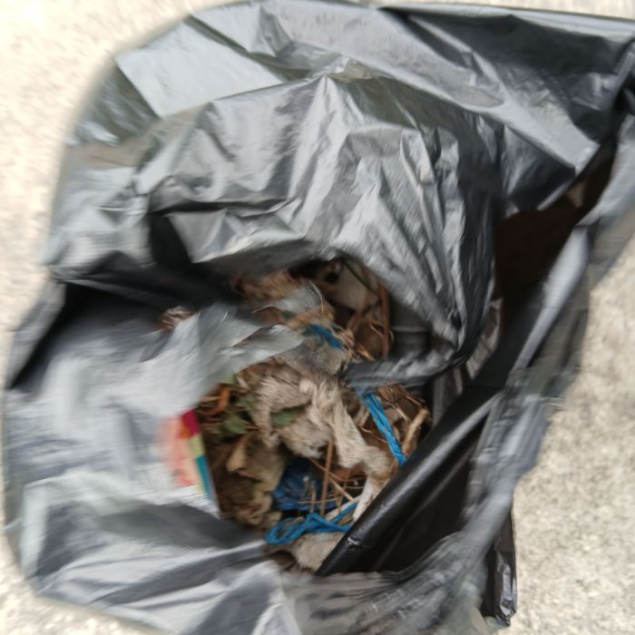  보령시.동네.쓰레기.플로깅