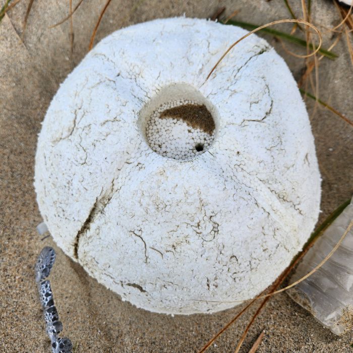 매바위공원해변 정화 사진 2