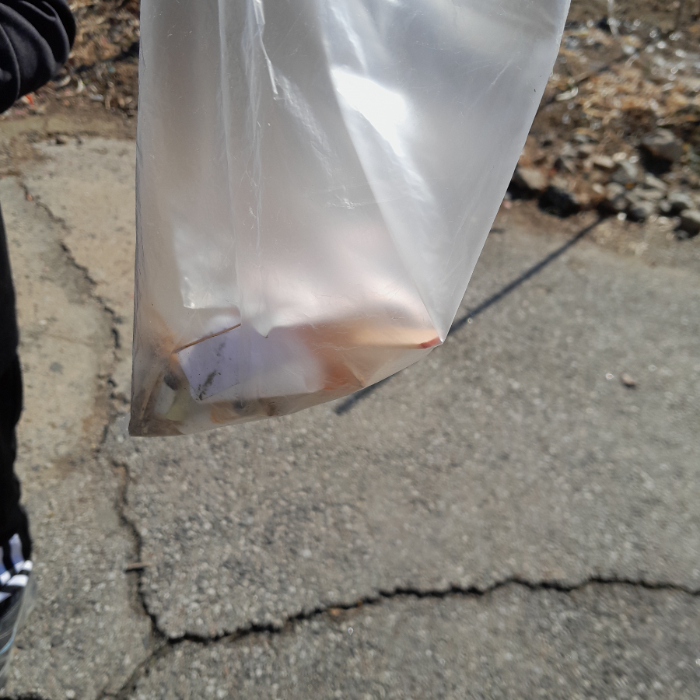  이천시.동네.쓰레기.플로깅