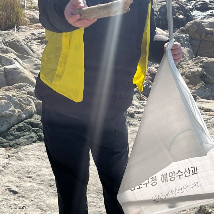 태종대 태원 자갈마당 정화 사진 6
