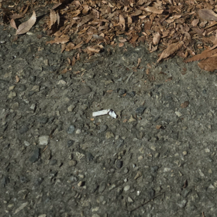  서울송파구.동네.쓰레기.플로깅