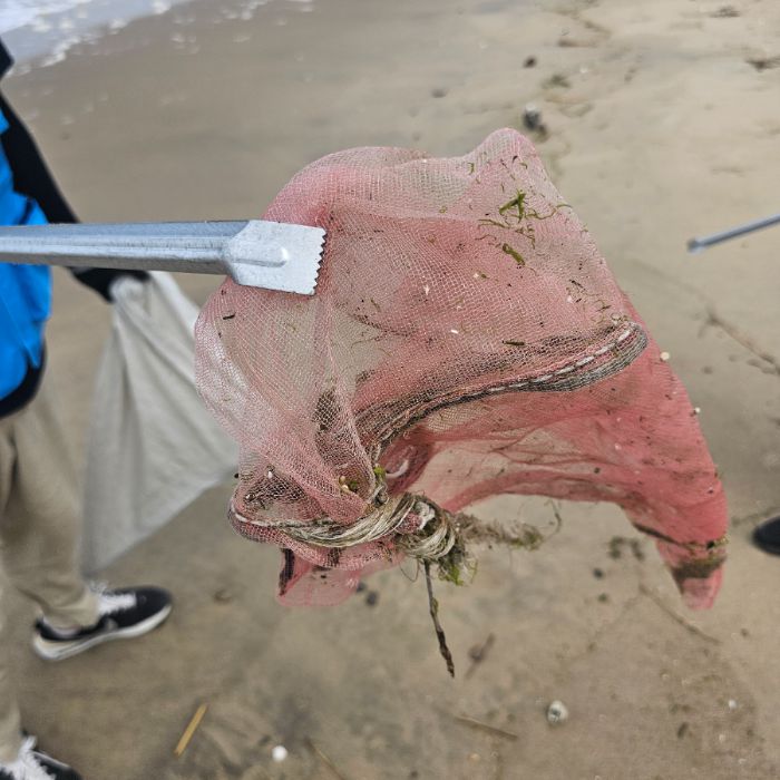 장포리해변 정화 사진 11