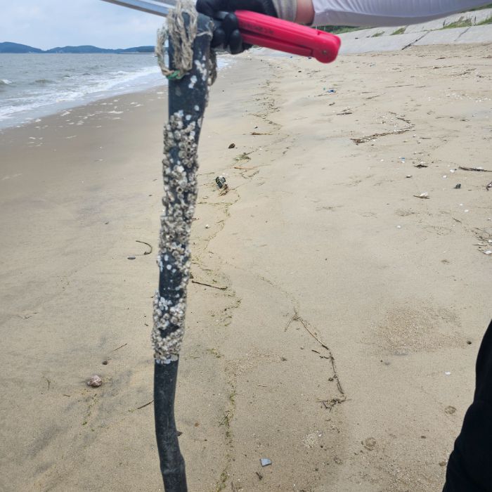 장포리해변 정화 사진 13