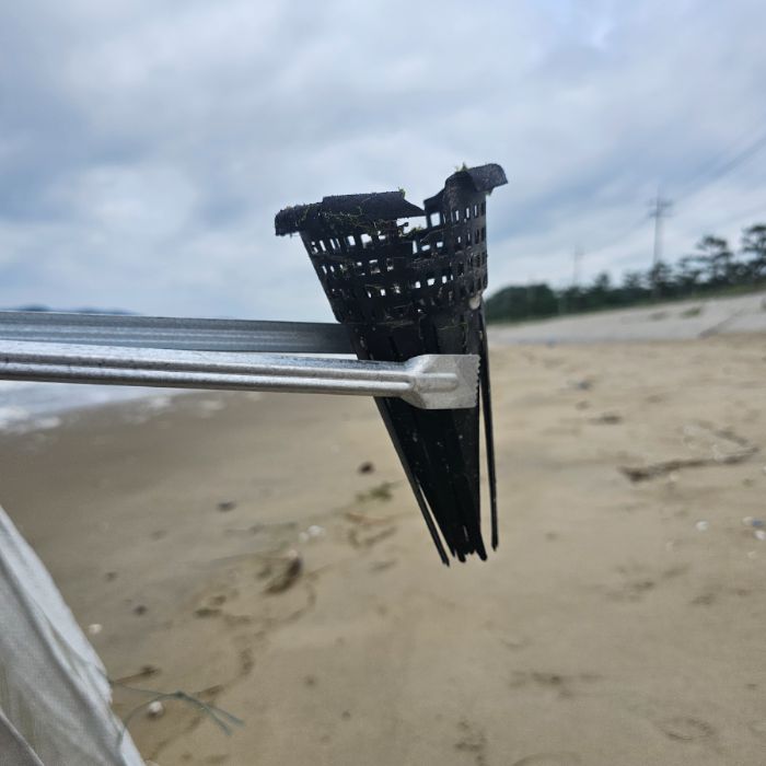 장포리해변 정화 사진 15