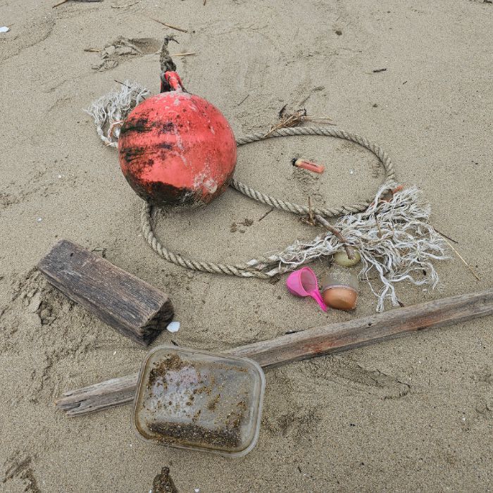 장포리해변 정화 사진 28