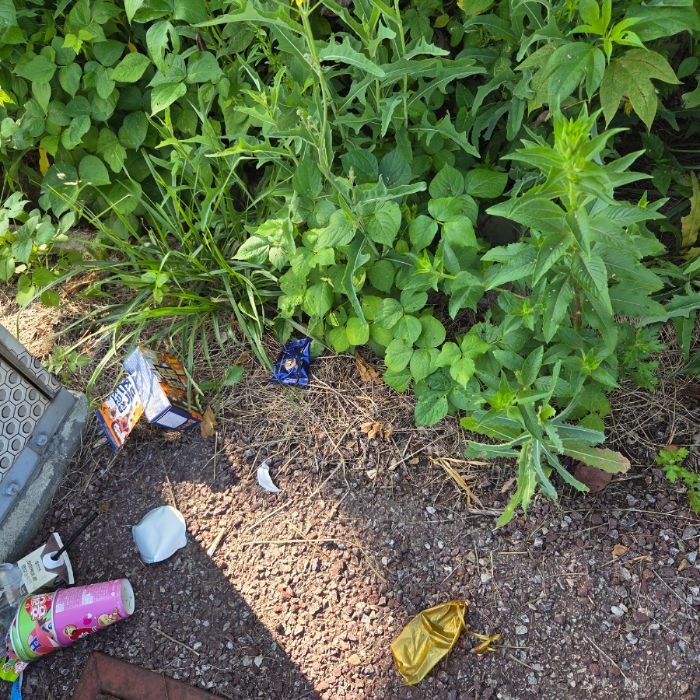  서산시.동네.쓰레기.플로깅