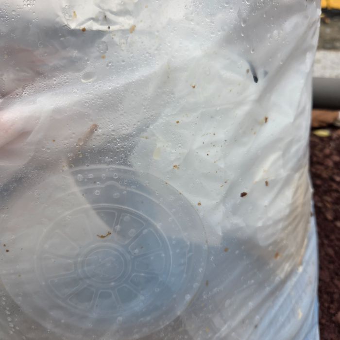  서산시.동네.쓰레기.플로깅