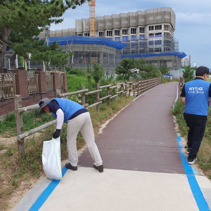 켄싱턴해변 정화 사진 8