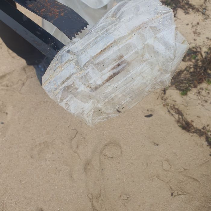 켄싱턴해변 정화 사진 3