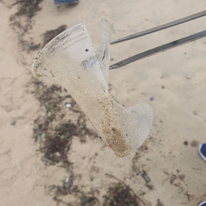 켄싱턴해변 정화 사진 4