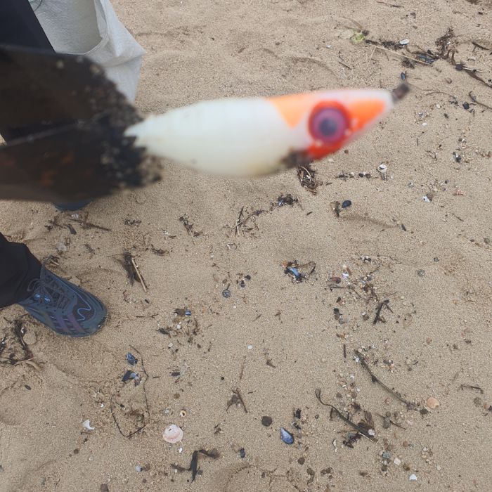 켄싱턴해변 정화 사진 8