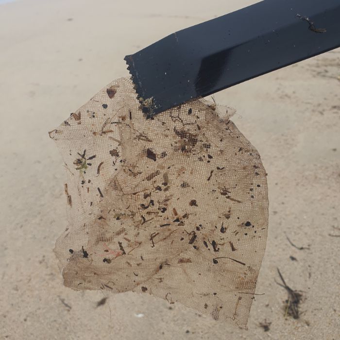 켄싱턴해변 정화 사진 14